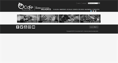 Desktop Screenshot of cdfe.net